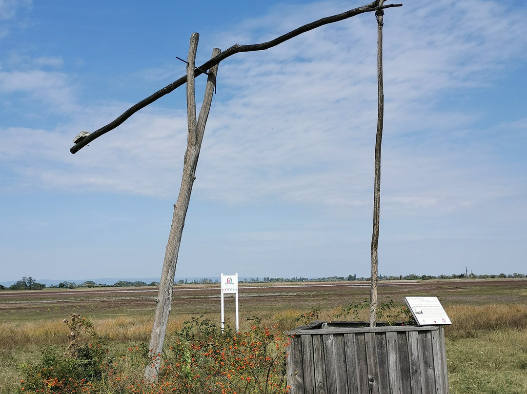 Nationalpark Neusiedler See – Seewinkel-Illmitz必去景点
