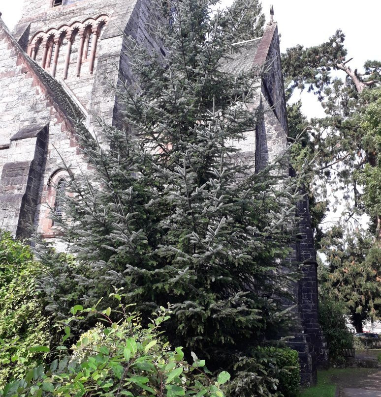 St. Mary's Church景点图片
