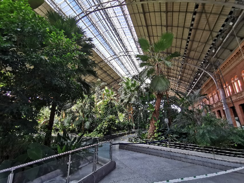 Jardin Botanico de Torretes景点图片