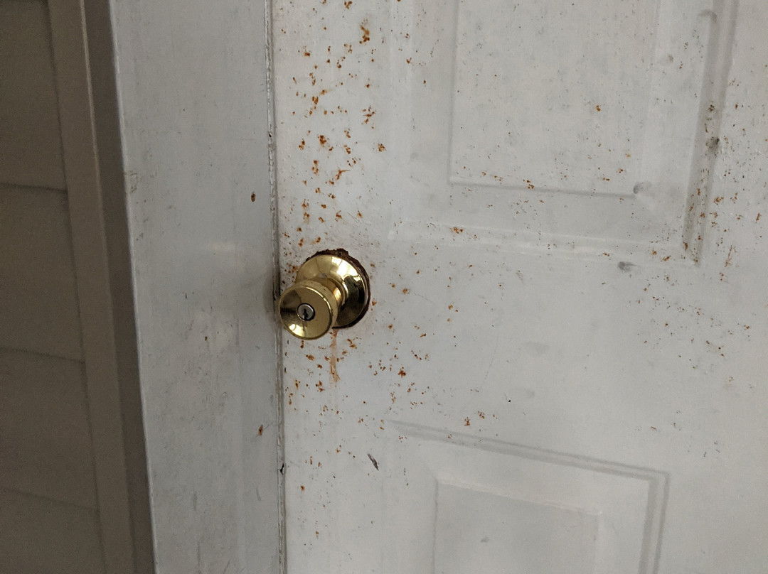 Birdsong Resort & Marina主图