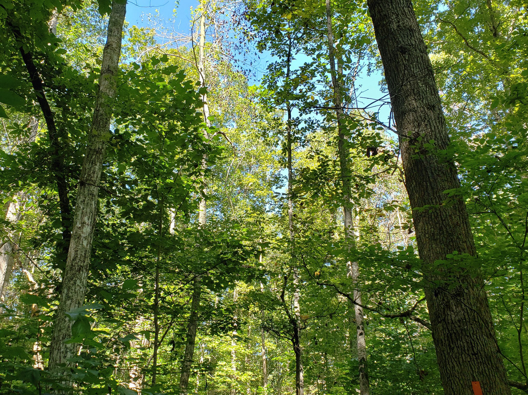 Bear Creek Lake State Park景点图片