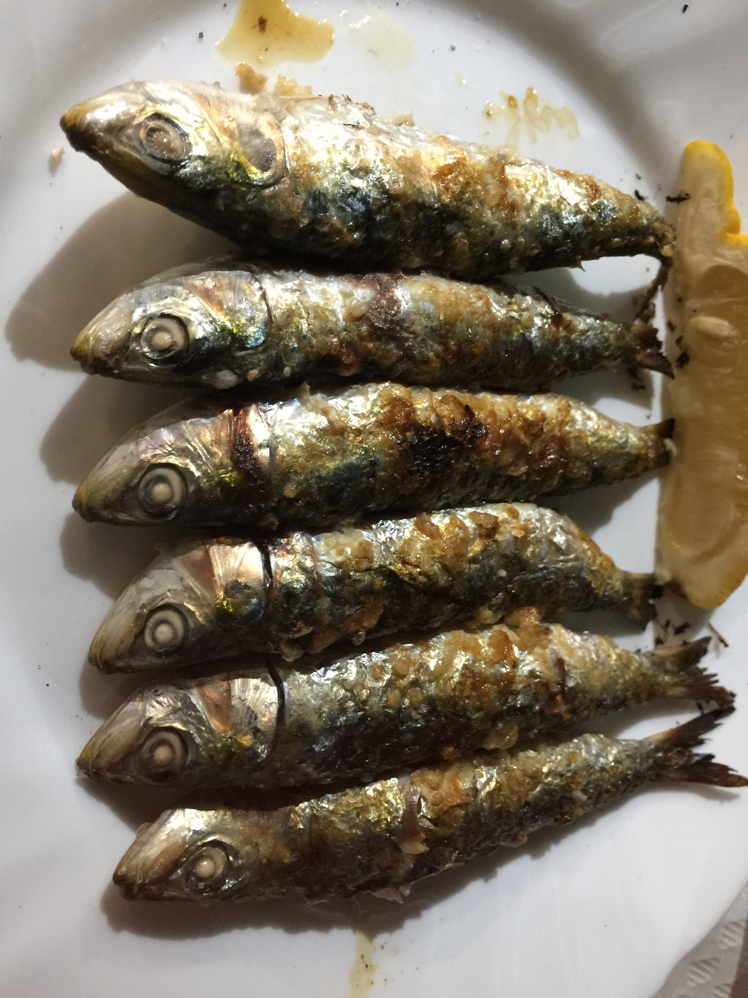 Elba Costa Ballena Beach & Thalasso Resort-餐饮