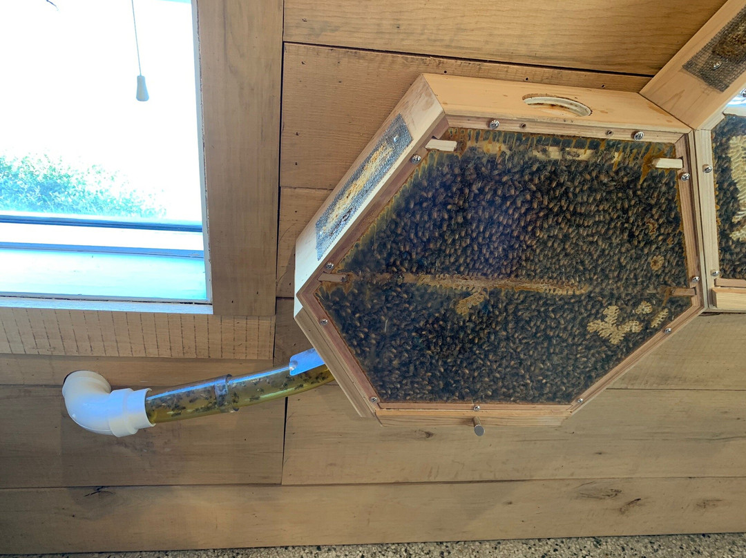 Silver Hand Meadery-威廉斯堡必去景点