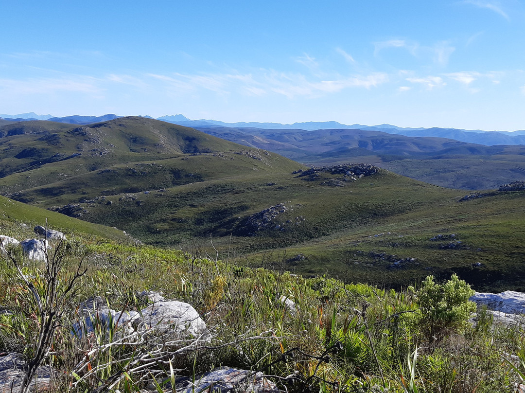 Peter Giddy Guided Tours-伊丽莎白港必去景点