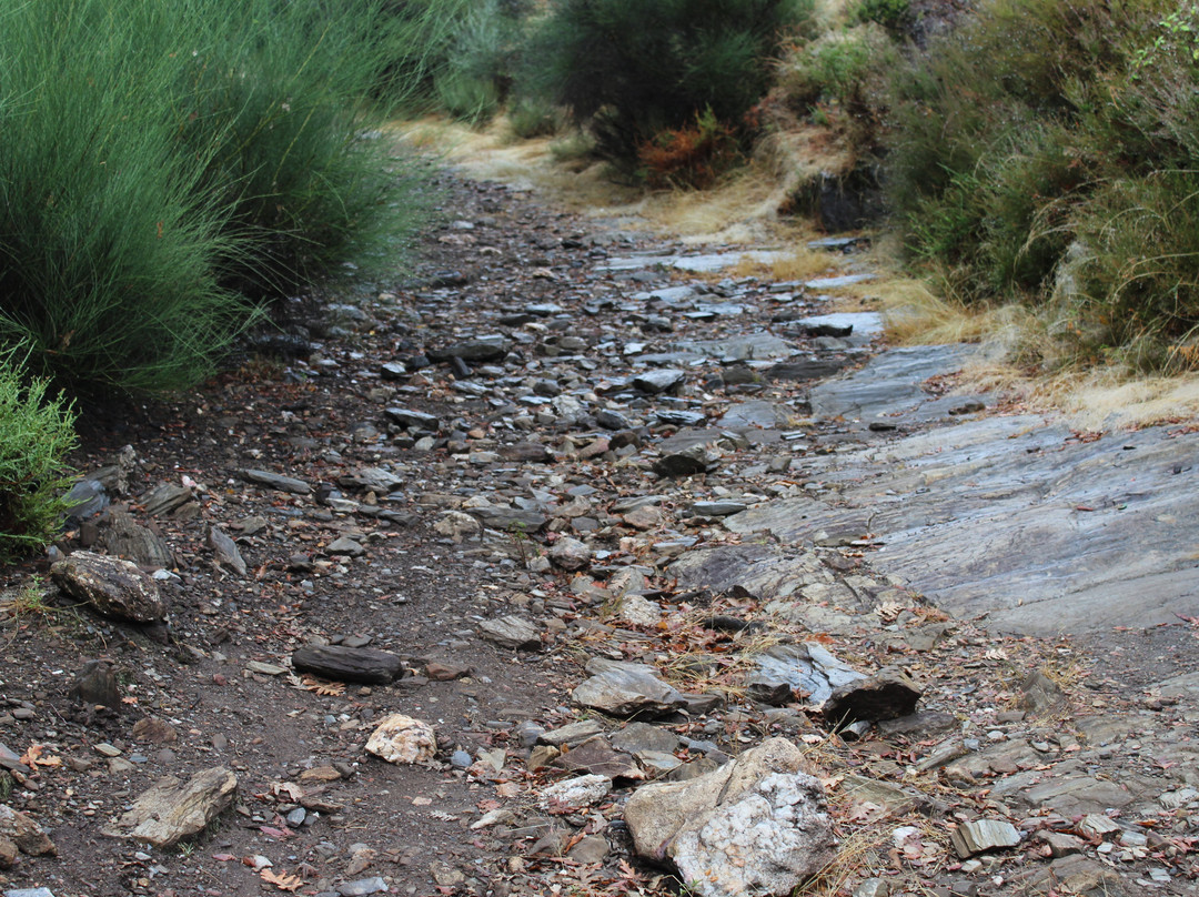 Parque Natural do Alvao景点图片