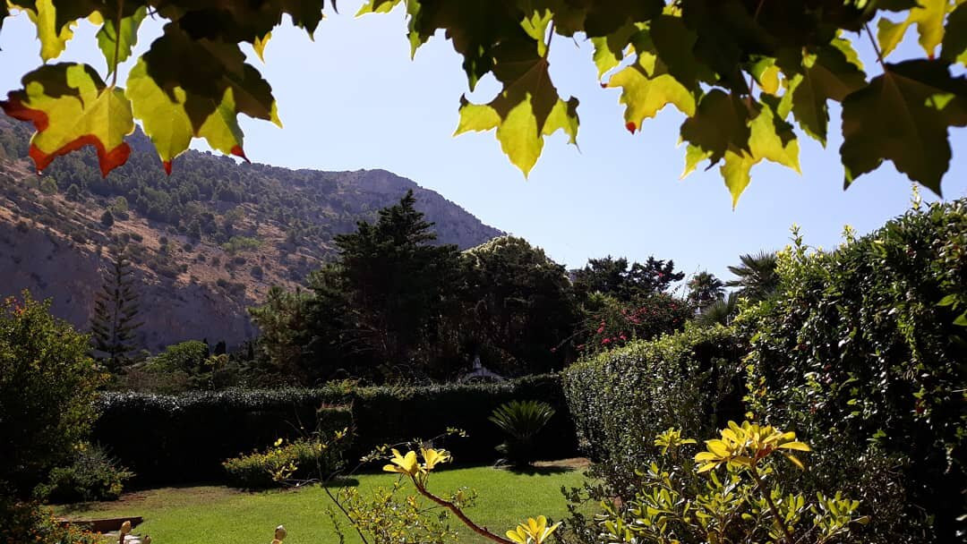 Mamamia Mondello Home主图