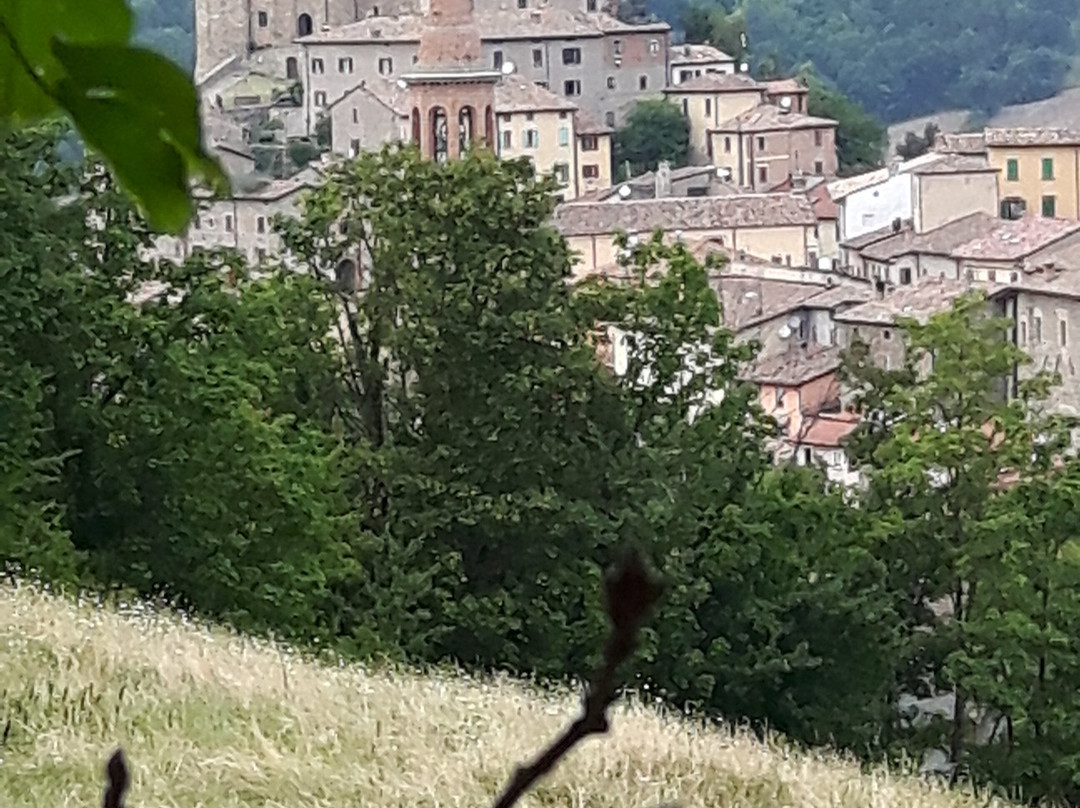 Rocca Fregoso景点图片