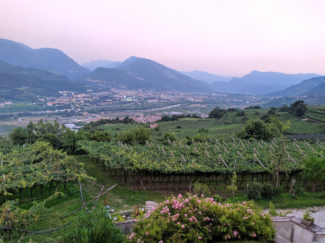 Agritur Le Pergole主图