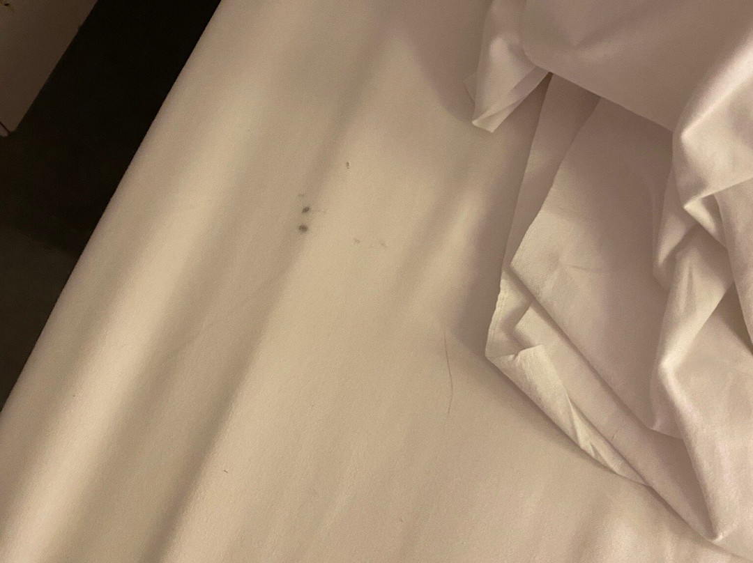 Soul Farm Hotel SPA景点图片