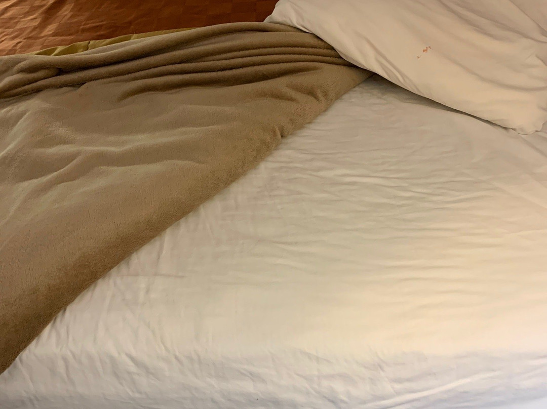 Americas Best Value Inn主图