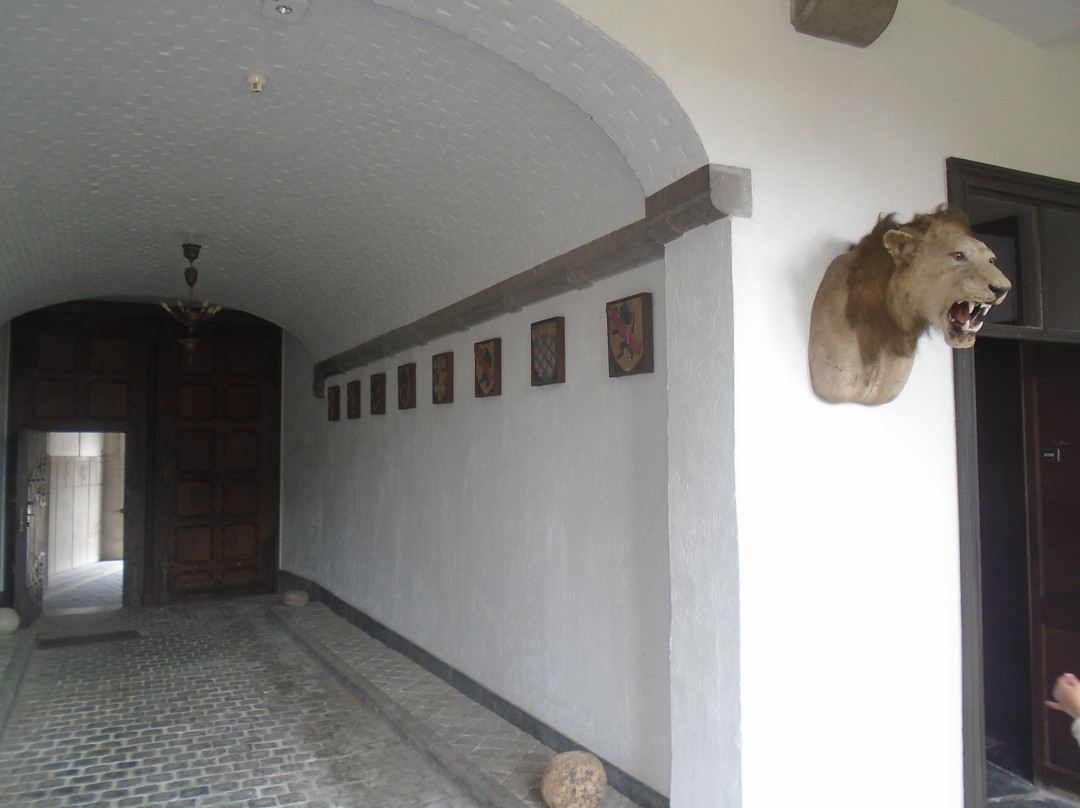 Kasteel Wijnendale景点图片