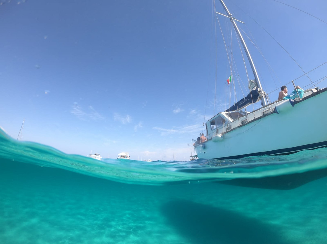 Kanaloa Charter Asinara-Asinara必去景点