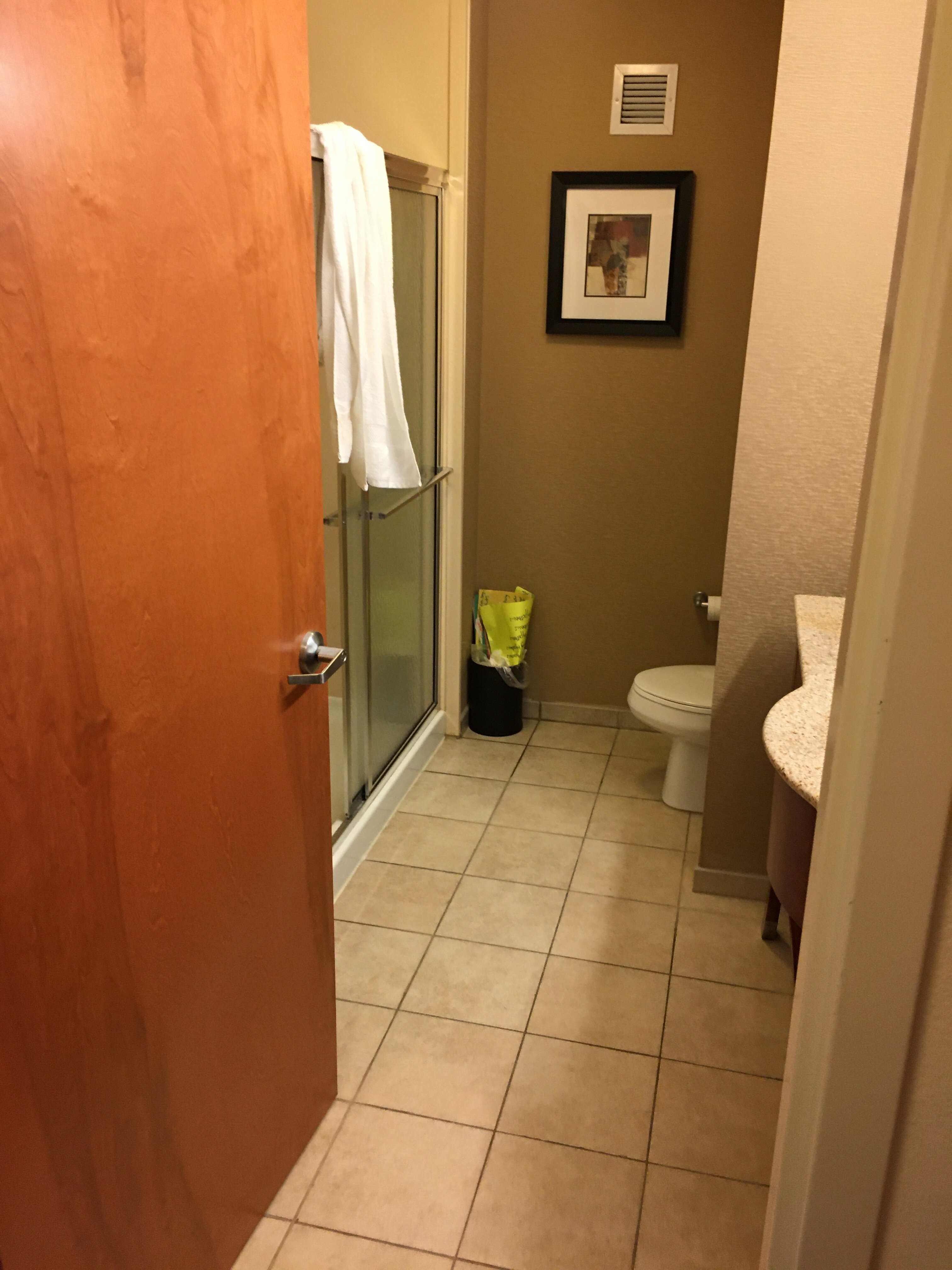 Hampton Inn Petersburg-Southpark Mall-浴室