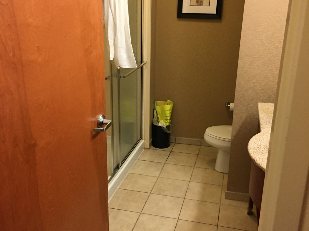 Hampton Inn Petersburg-Southpark Mall主图