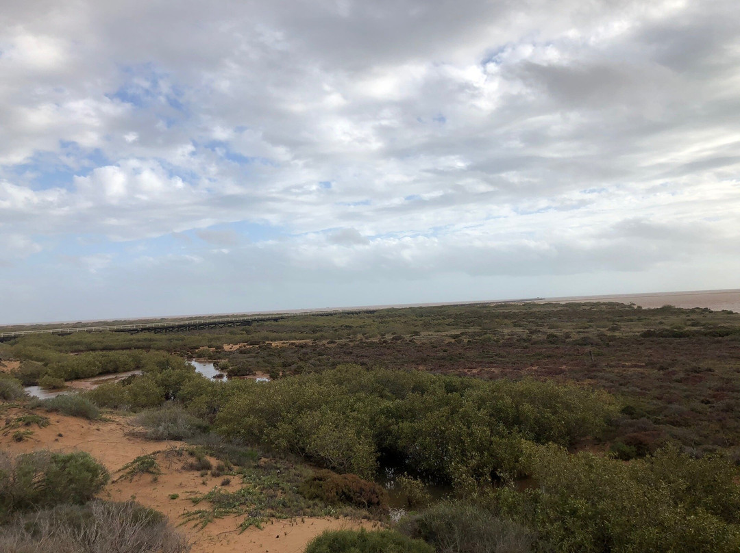 One Mile Jetty-卡那封必去景点
