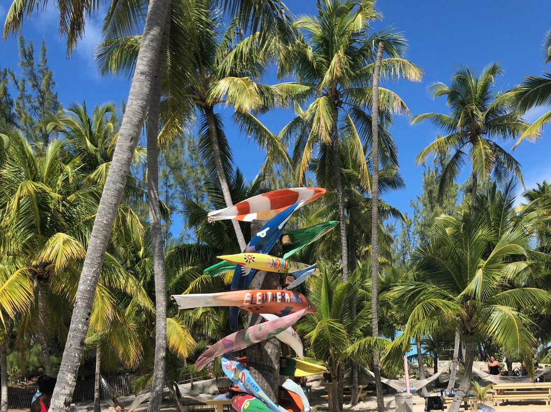 Bahamas Tours and Travel-拿骚必去景点