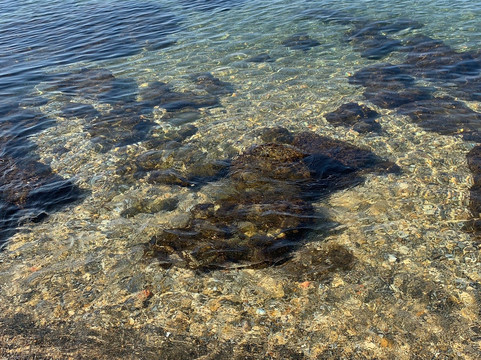 Nuova Pineta Pinetina-罗马必去景点