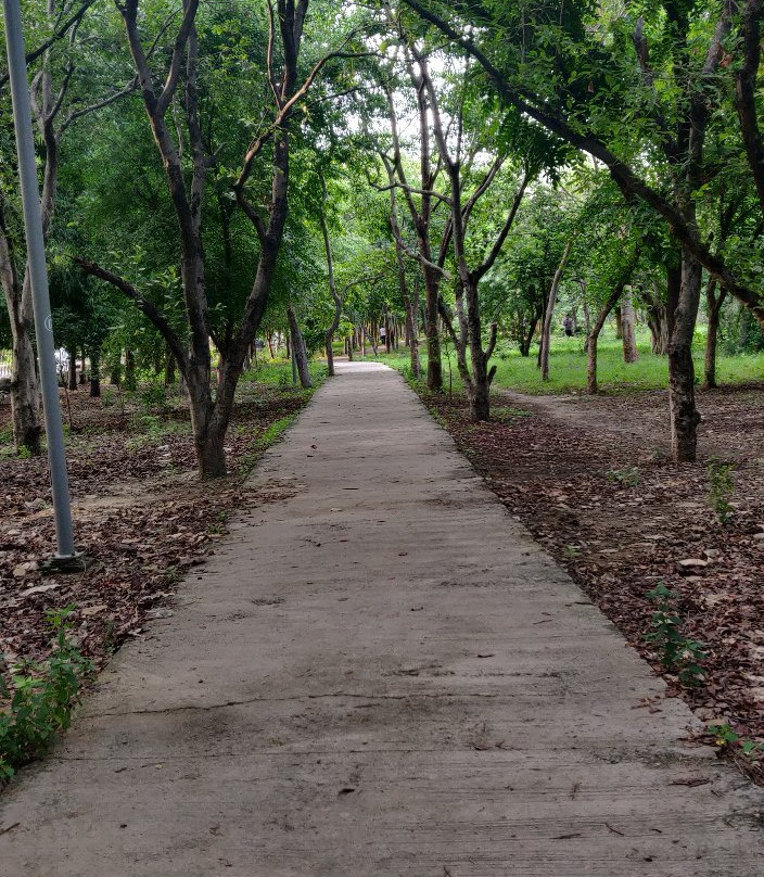 Town Park景点图片