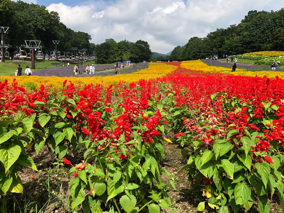 Tambara Lavender Park-沼田市必去景点