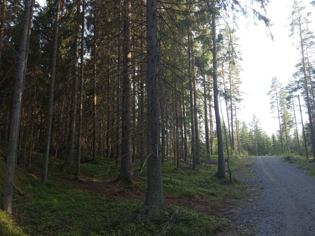 Saaristokatu