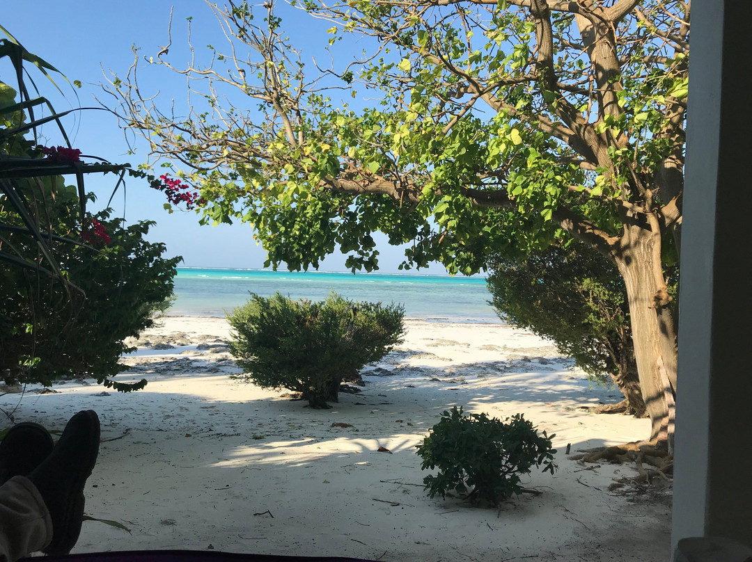 Upendo Beach Boutique Hotel主图