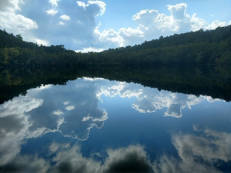 Clark Reservation State Park-Jamesville必去景点