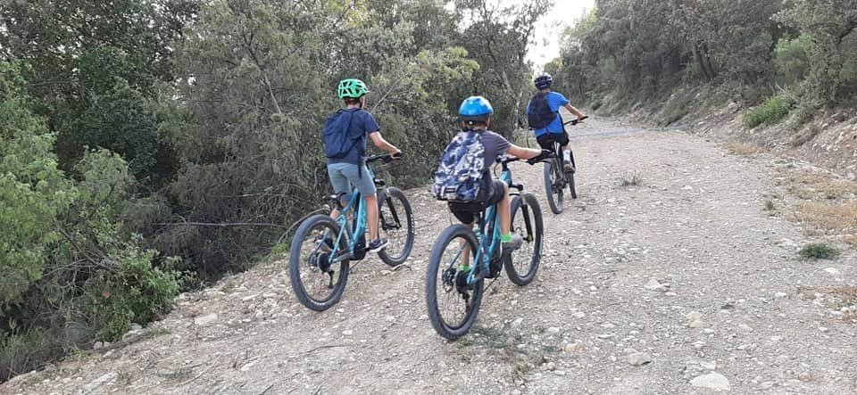 Seb Eco Bike景点图片
