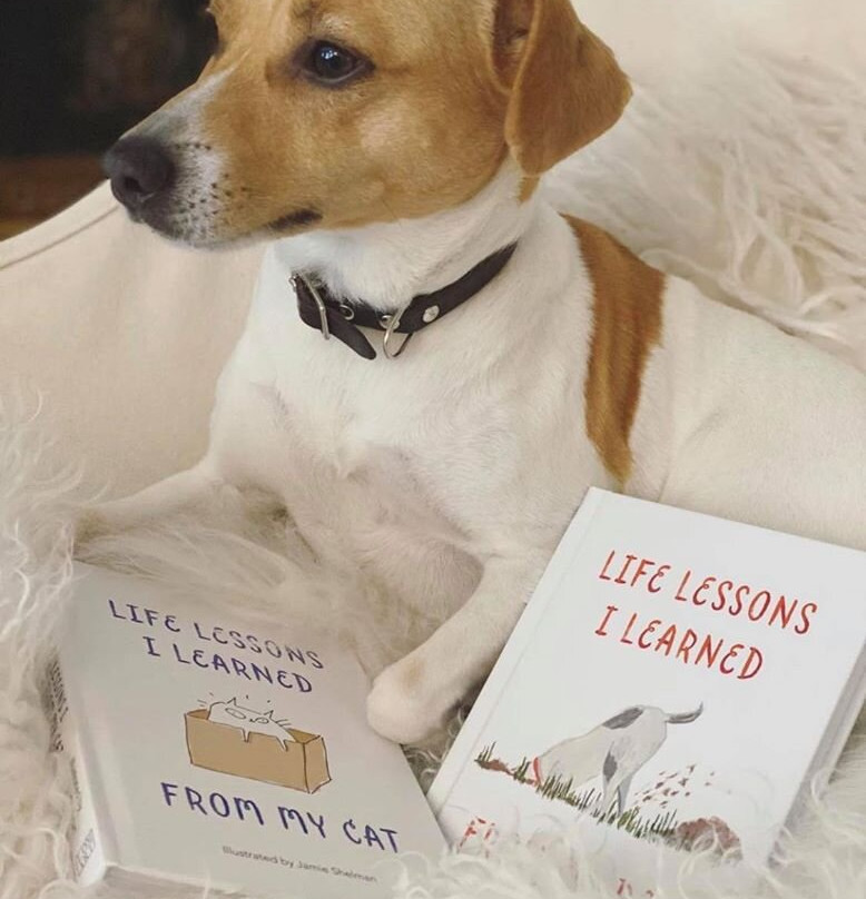 Den Lille Bokbutikken-Haugesund必去景点