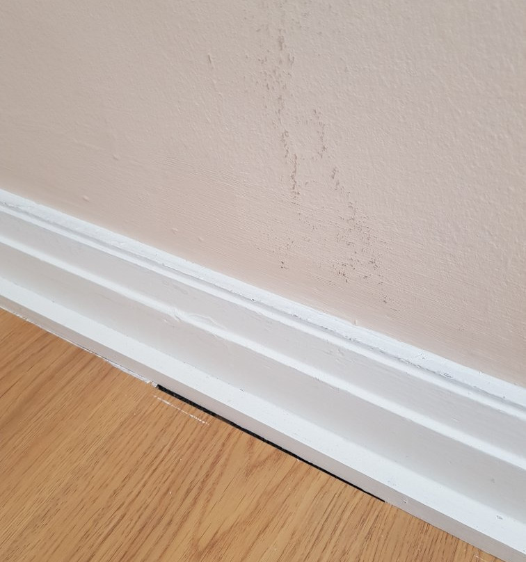 奈古里酒店主图