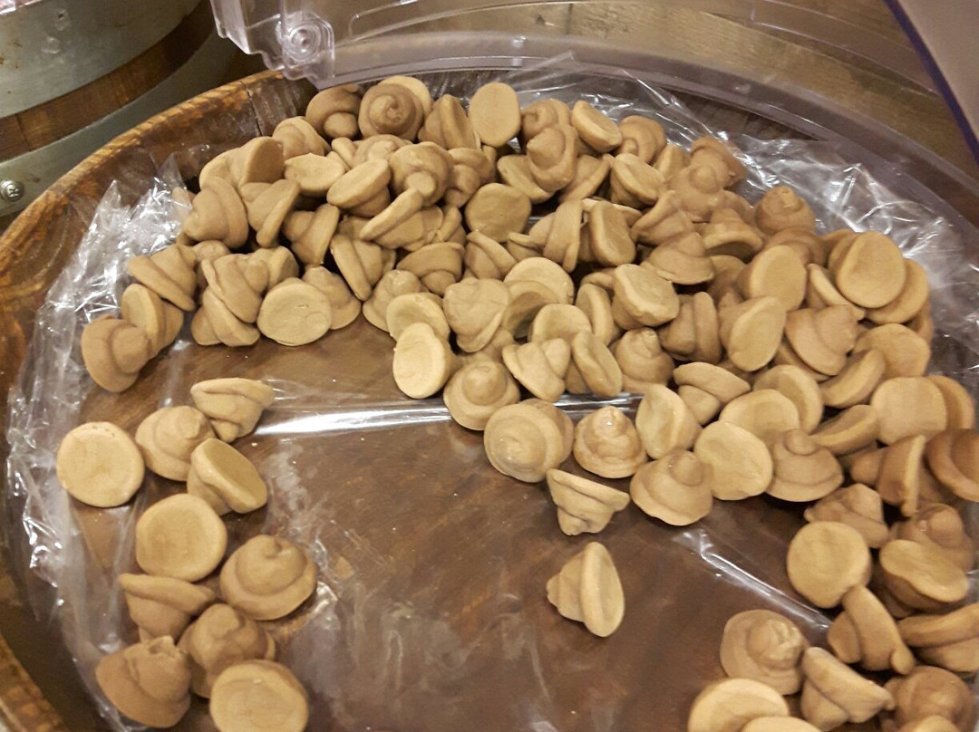 Caramelle Di Jack-切塞纳蒂科必去景点