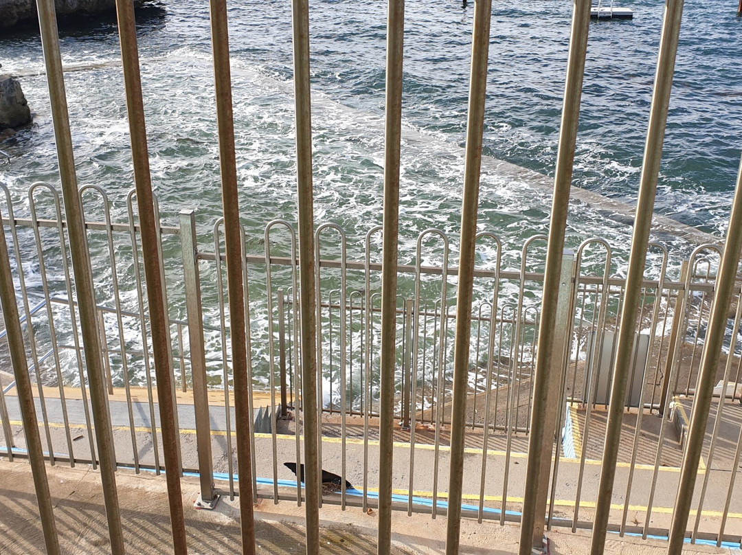 Edithburgh Tidal Pool景点图片