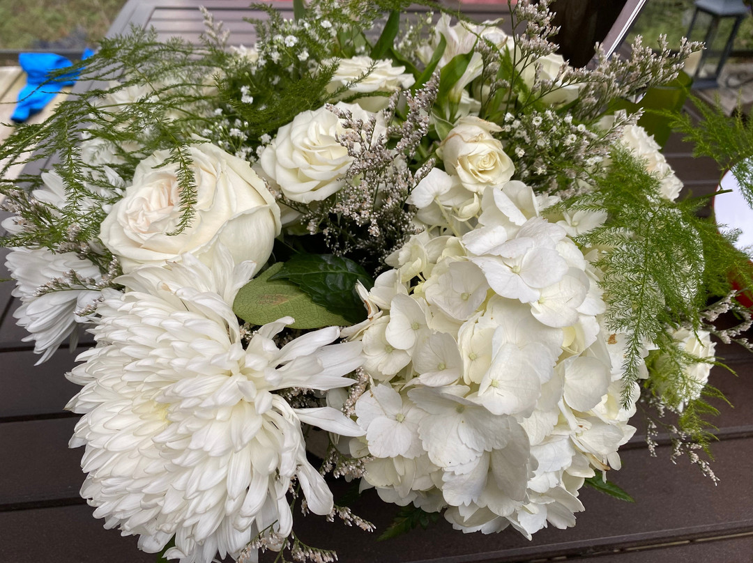 Pardon My Garden-帕里桑德必去景点