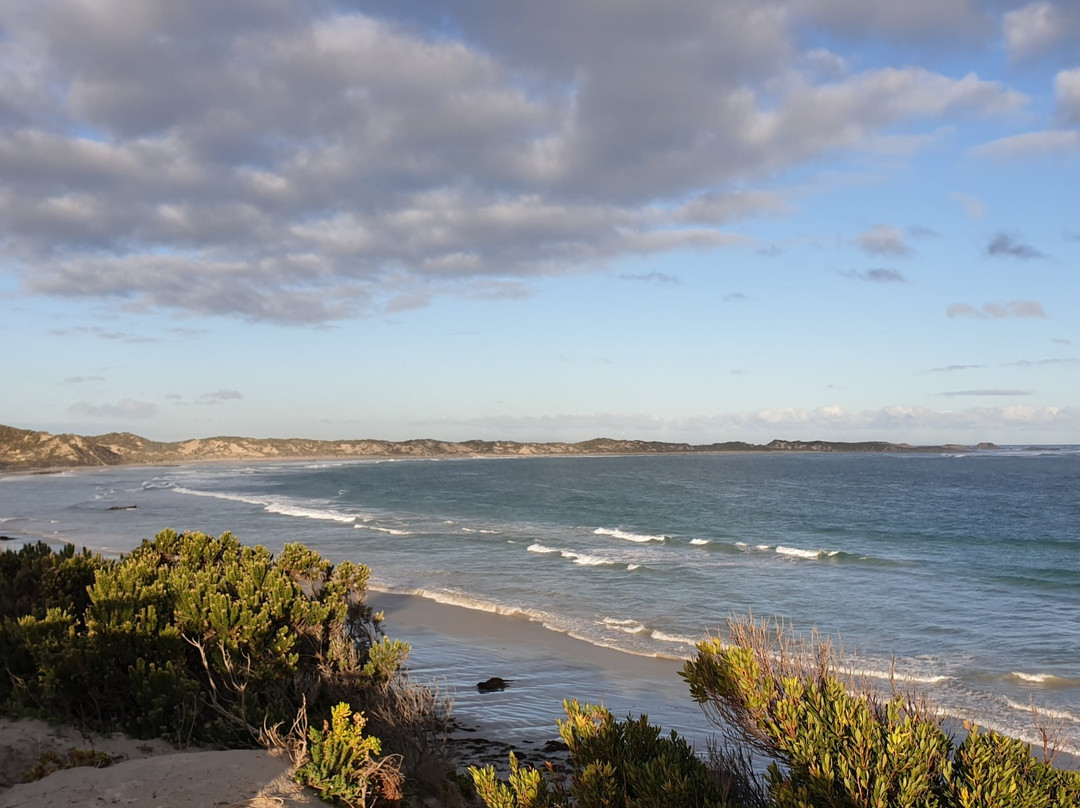 Cape Banks Lighthouse-Carpenter's Rocks必去景点
