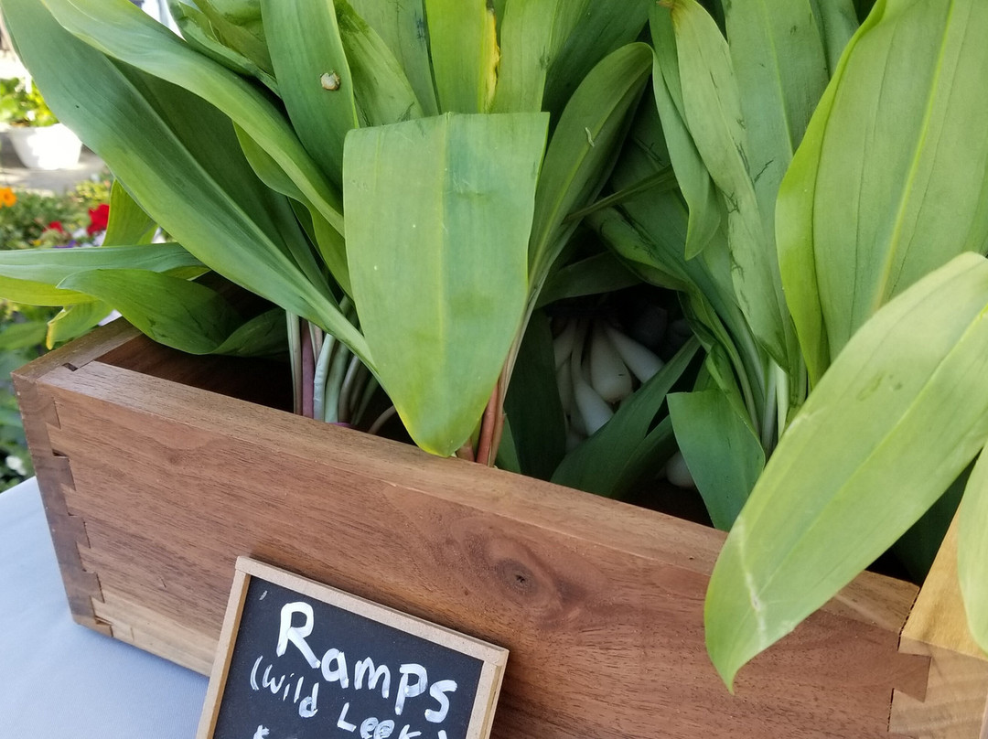 Hamburg Farmers' Market景点图片