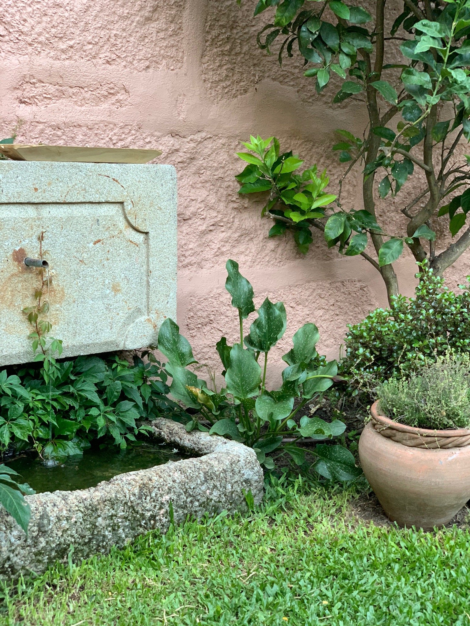 Casa do Juncal-官方