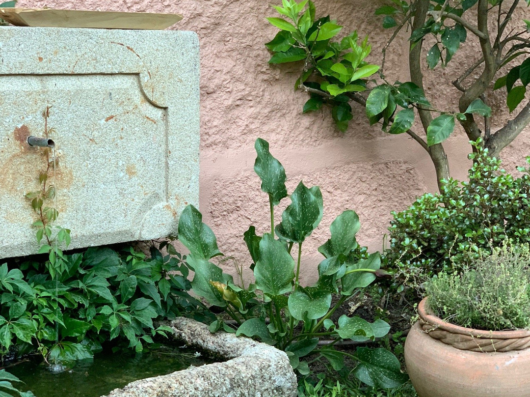 Casa do Juncal主图