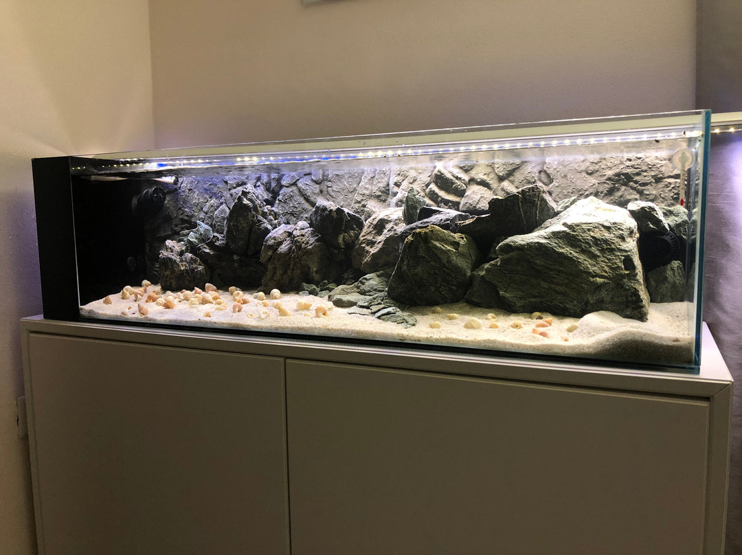 Santo Stefano Ticino酒店住宿-B&B da Mary