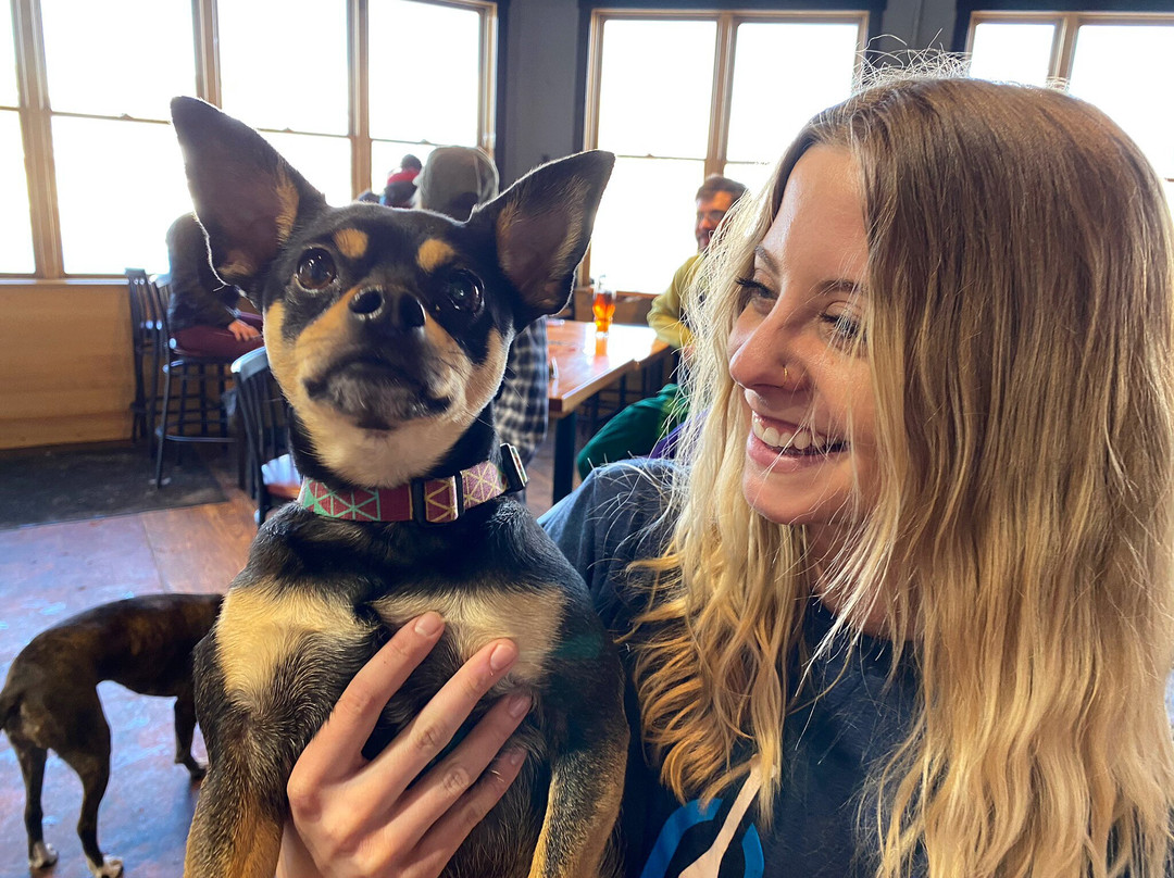 Highside Brewing and BBQ-弗里斯科必去景点