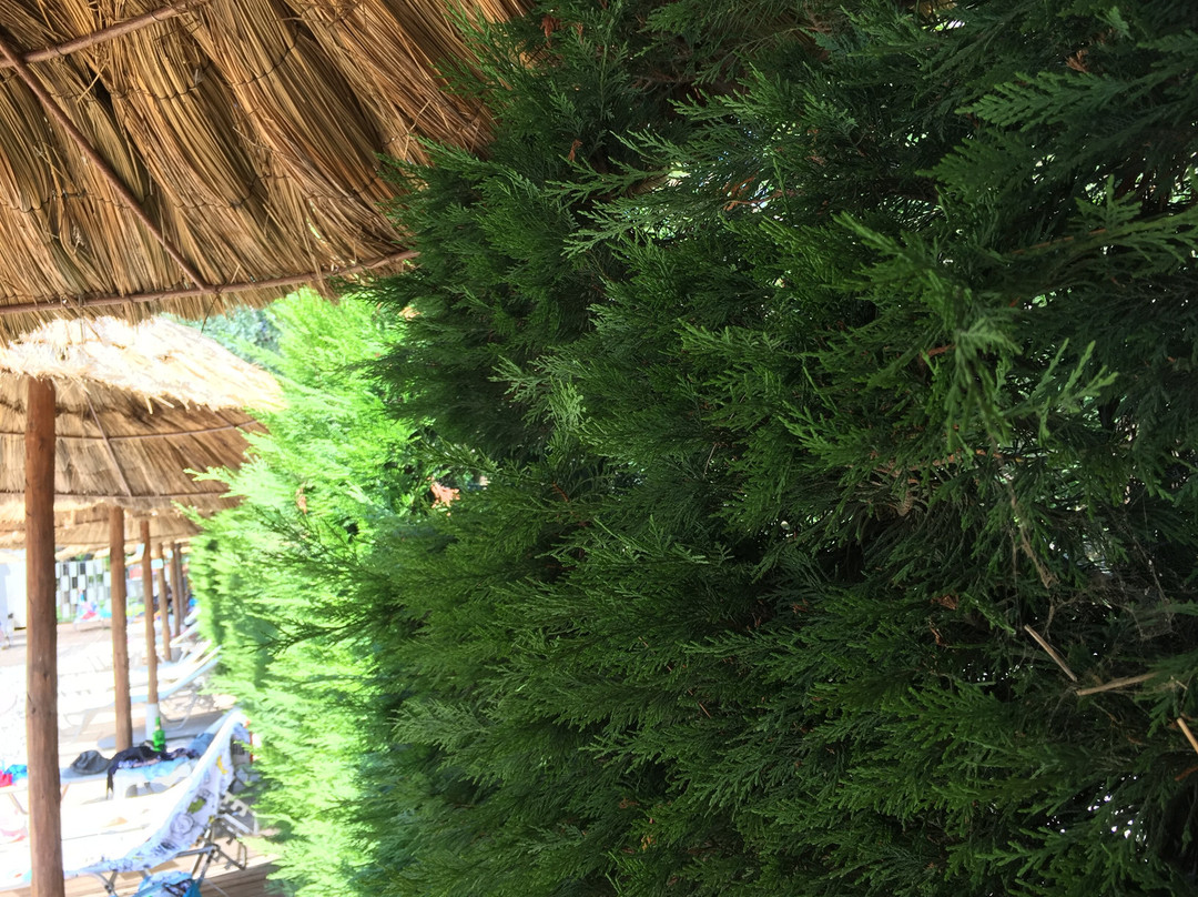 Club Agia Anna主图