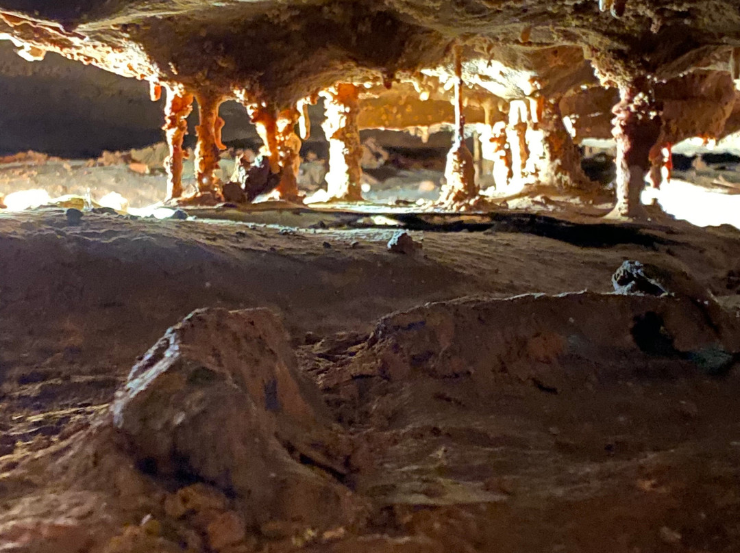 Bull Shoals Caverns景点图片