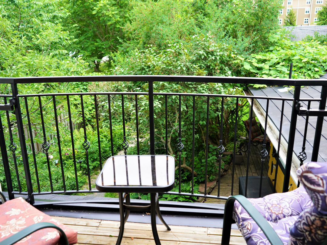 The Stella Rose B&B主图