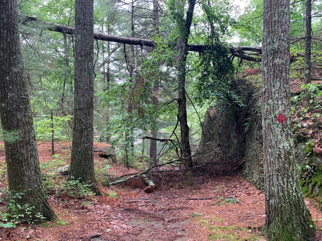 Rock House Reservation-West Brookfield必去景点