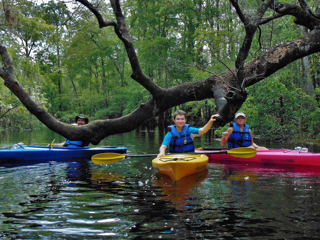 Gator Bait Adventure Tours-美特尔海滩必去景点