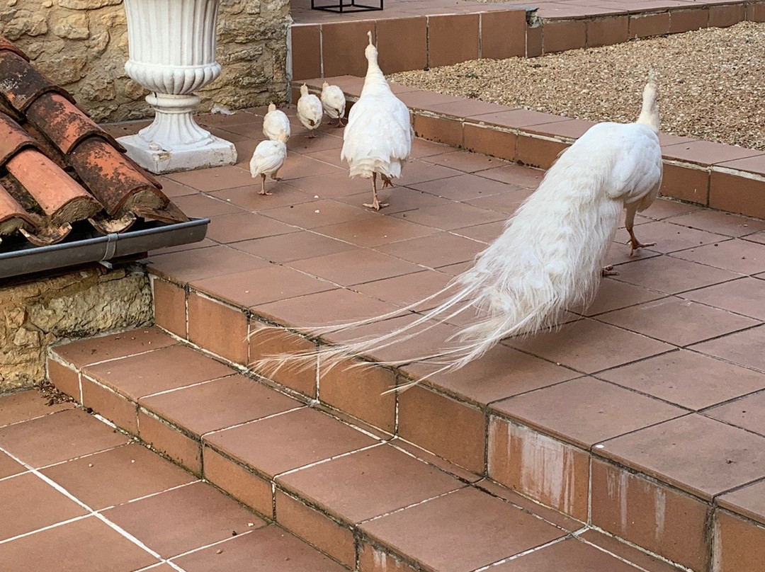 Le Noyer Residence主图