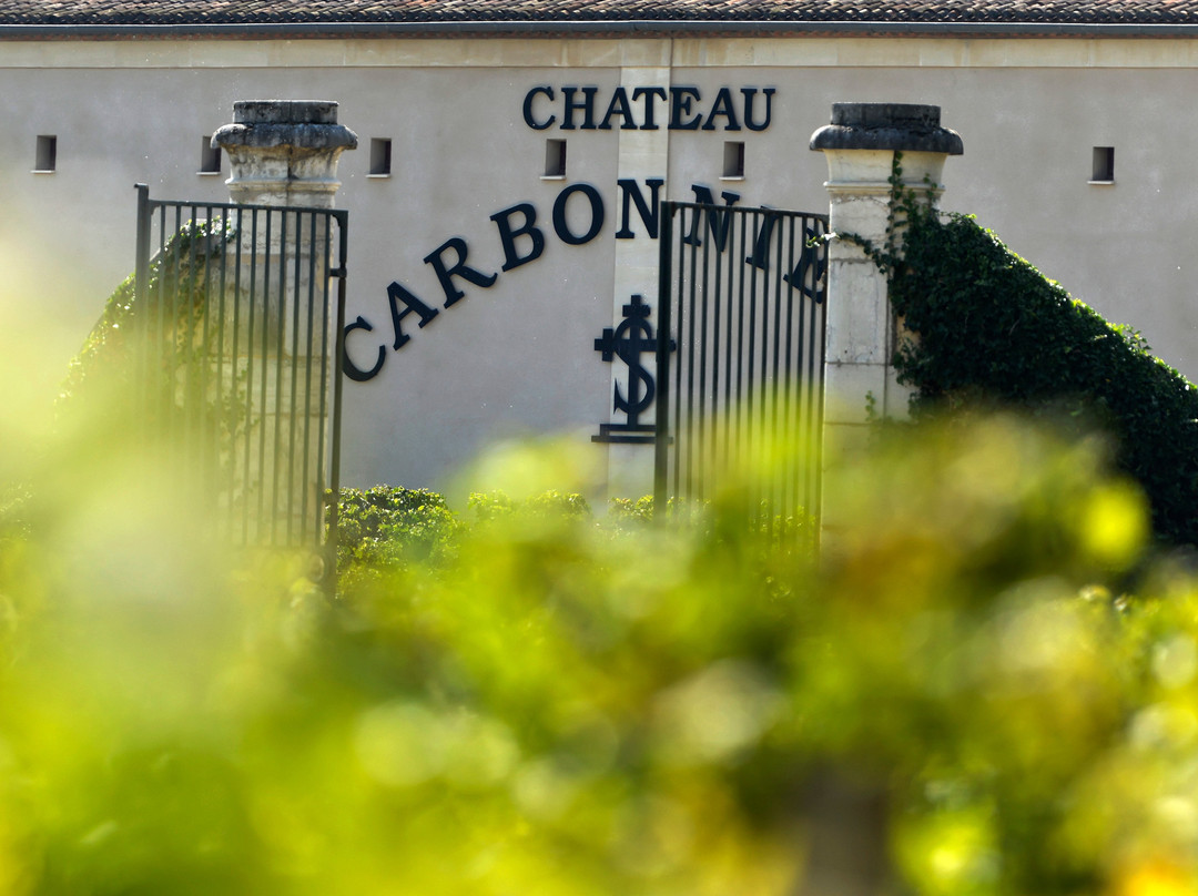 Château Carbonnieux景点图片