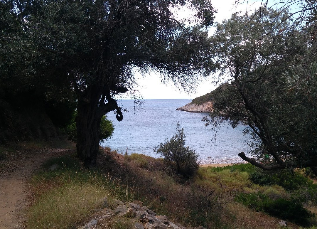 Paralia Mikros Mourtias景点图片