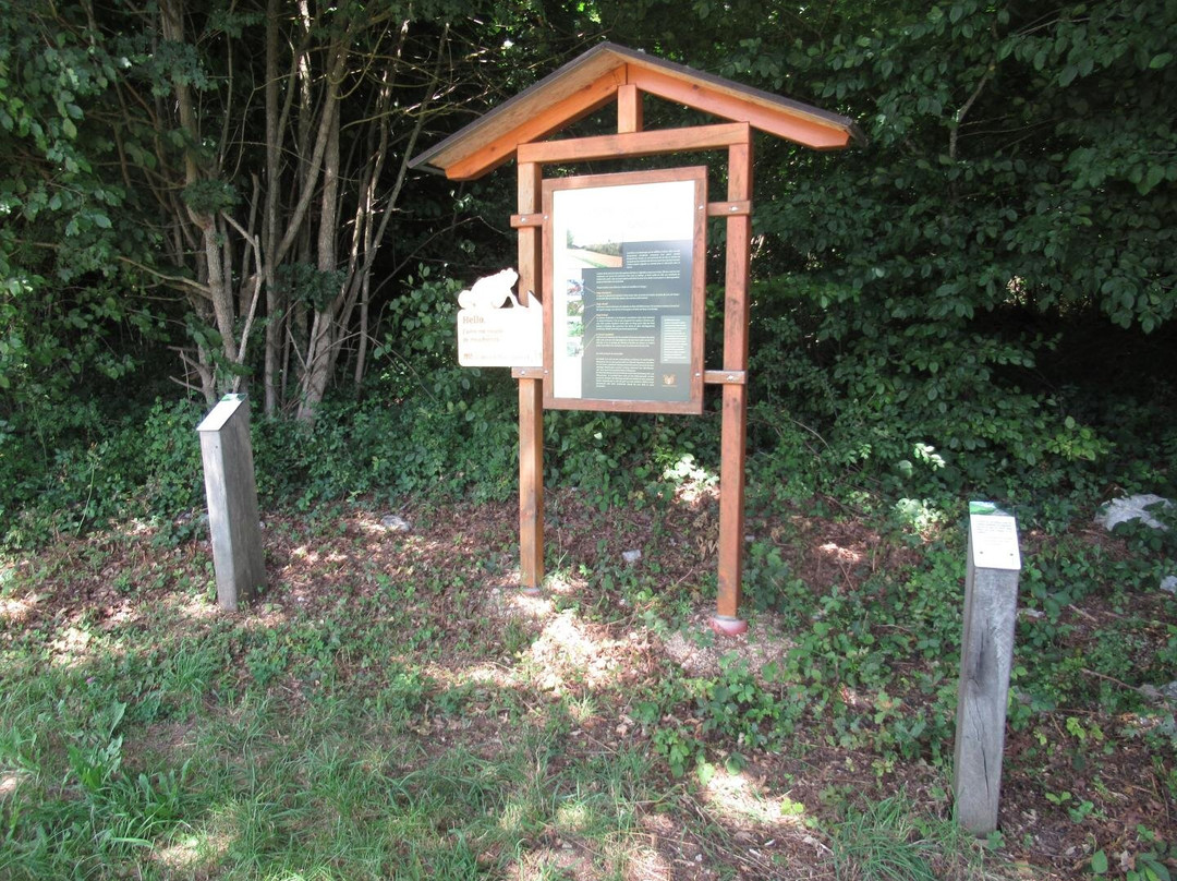 Le Sentier Forestier Olympique-德莱蒙必去景点