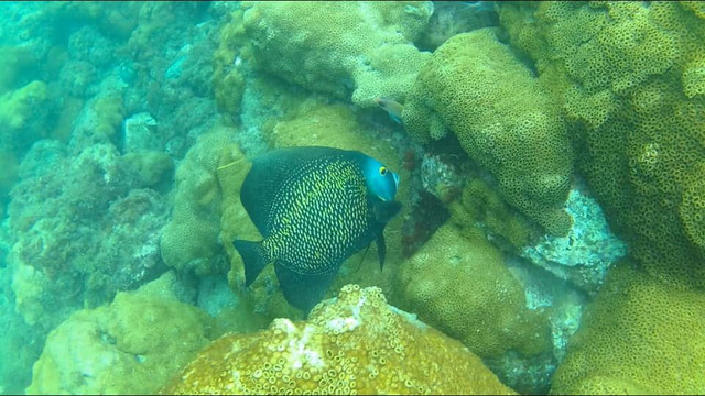 Acqua World-阿拉伊阿尔港必去景点