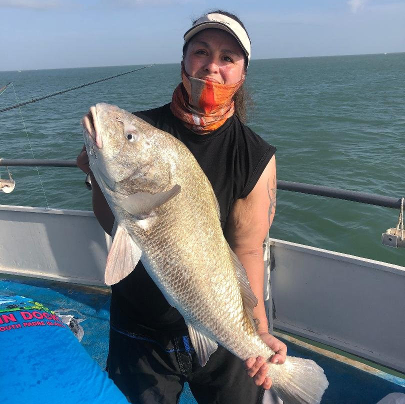 Dolphin Docks-Port Isabel必去景点