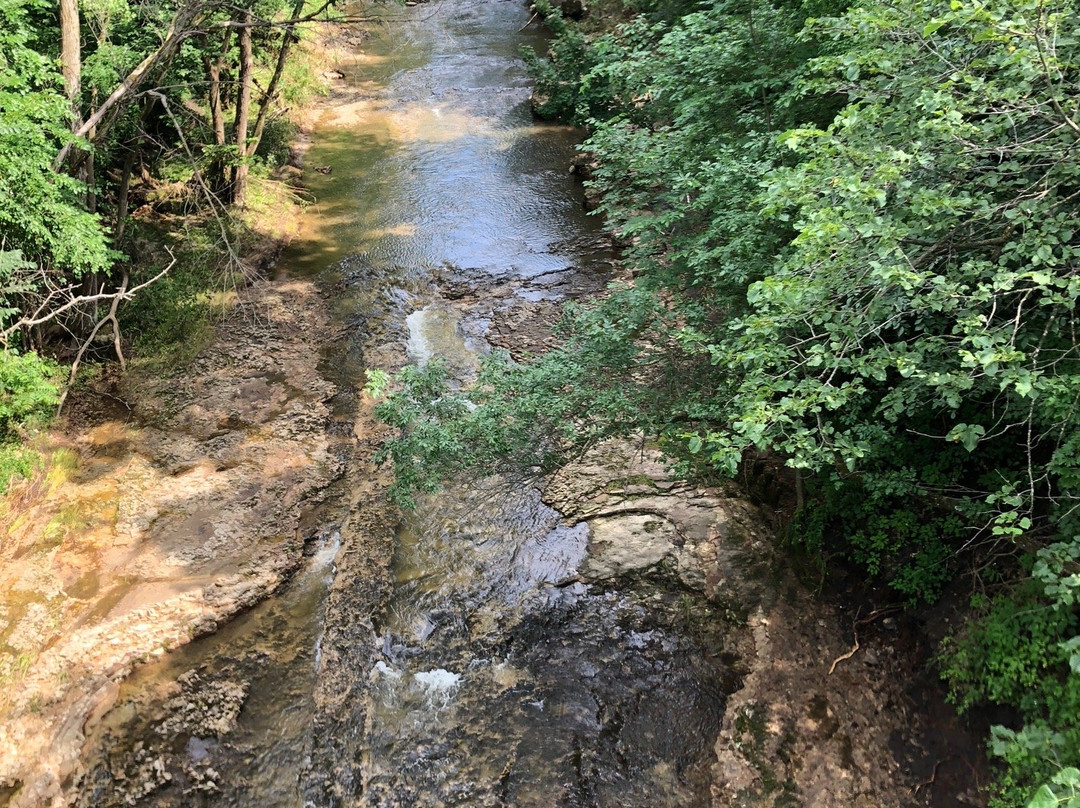 Swinging Bridge-River Falls必去景点